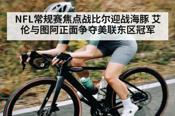 NFL常规赛焦点战比尔迎战海豚 艾伦与图阿正面争夺美联东区冠军